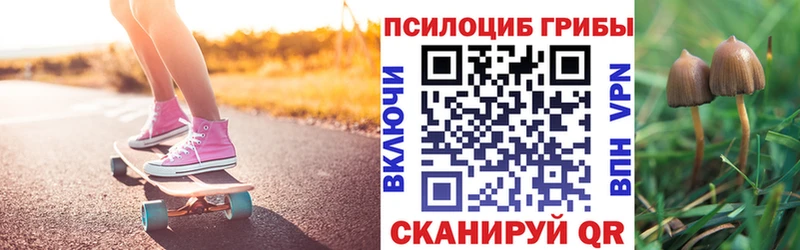 закладки  Берёзовка  даркнет Telegram  Псилоцибиновые грибы Psilocybine cubensis 