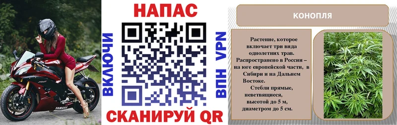 Марихуана семена Берёзовка